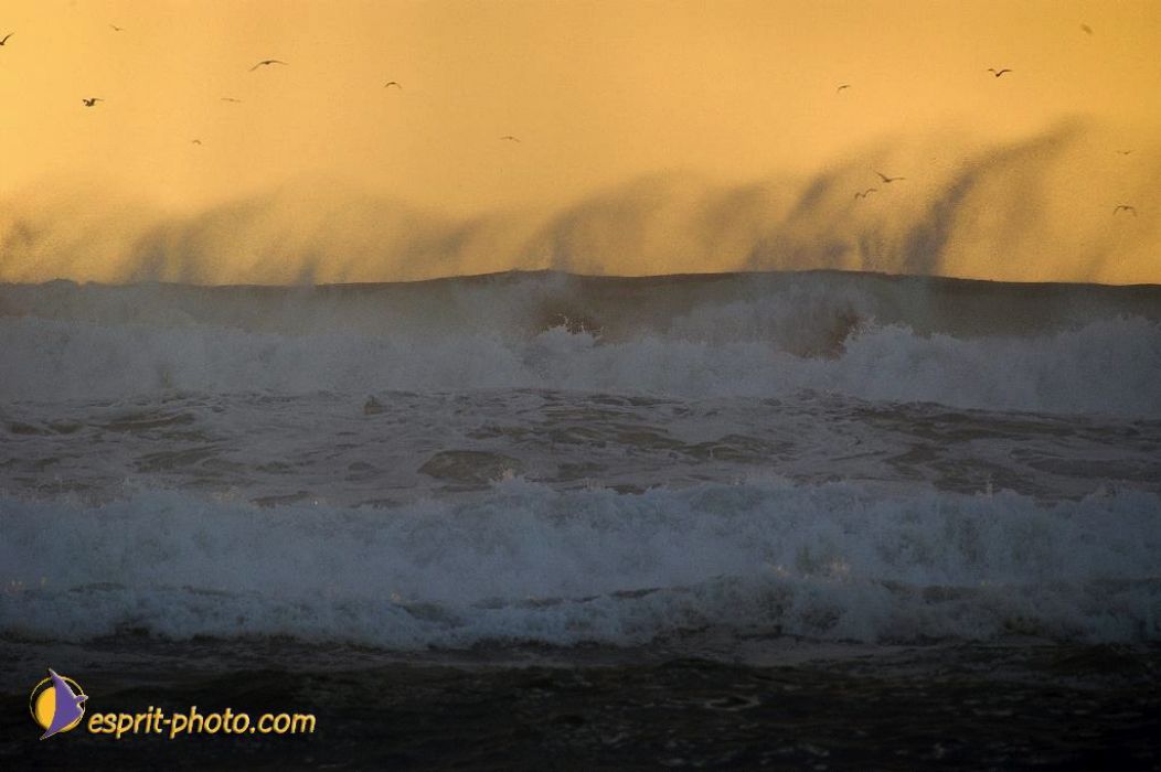 Nom de l'image : EP08-0344_(c)Norbert-JUNG — Description :